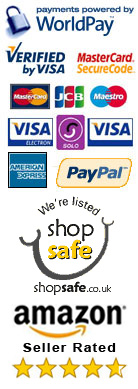 secure payment processing